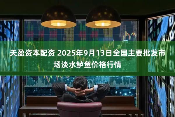 天盈资本配资 2025年9月13日全国主要批发市场淡水鲈鱼价格行情